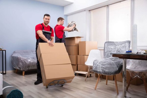 Commercial Logistics in Surat